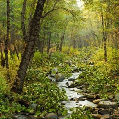 半岛bob综合登入截图