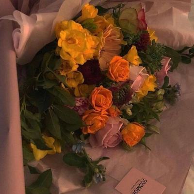 新宝十大登录平台